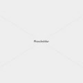 placeholder-1600 placeholder-1600